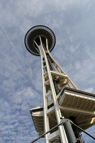 spaceneedle06-29-13