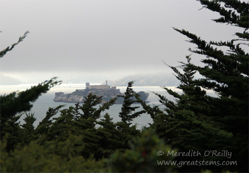 alcatraz07-12-13