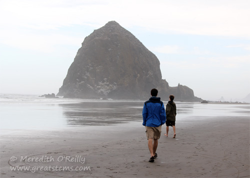 cannonbeachb07-16-13