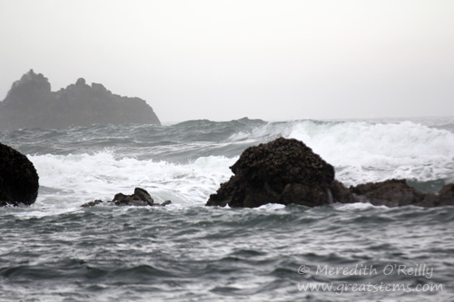 cannonbeachd07-16-13