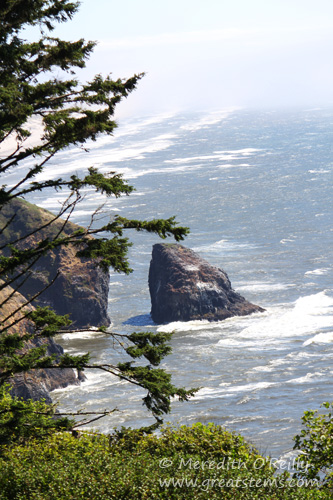 oregoncoast07-15-13