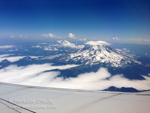 ranier07-17-13