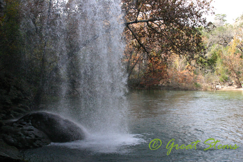 hamiltonpoolg11-14-09.jpg