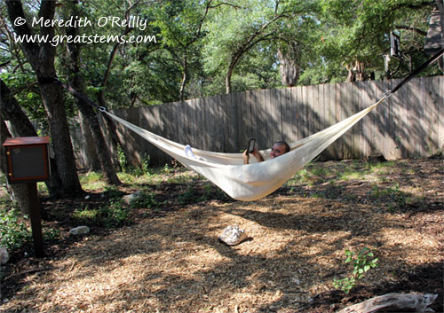 hammock06-25-12.jpg