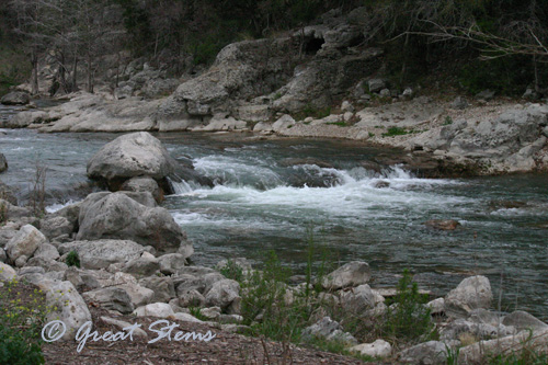 huacosprings03-17-11.jpg