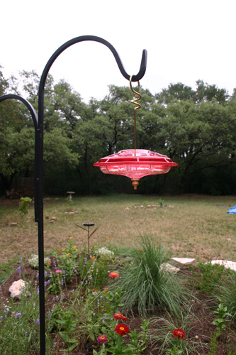 hummingbirdfeeder06-10-09.jpg