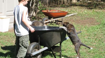 IMG_1882.JPG