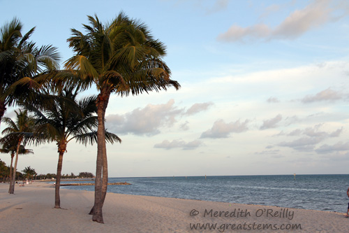 keywest03-13-12.jpg