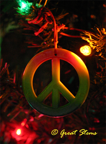 peace12-23-10.jpg