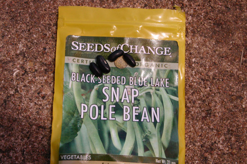 polebeanseeds08-12-09.jpg