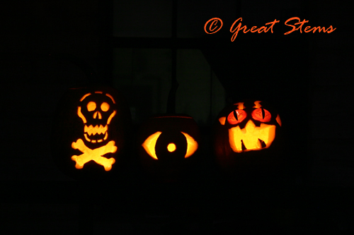 pumpkins2009.jpg