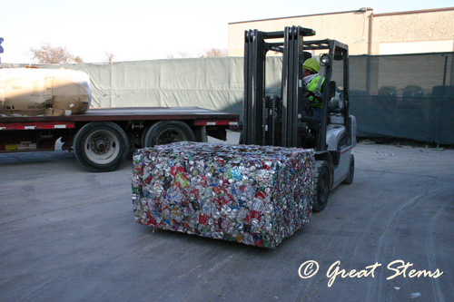 recyclingj01-24-11.jpg