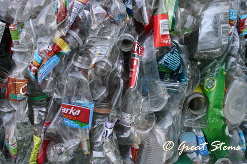 recyclingn01-24-11.jpg