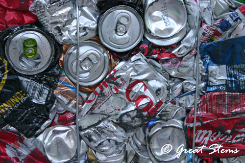 recyclingr01-24-11.jpg