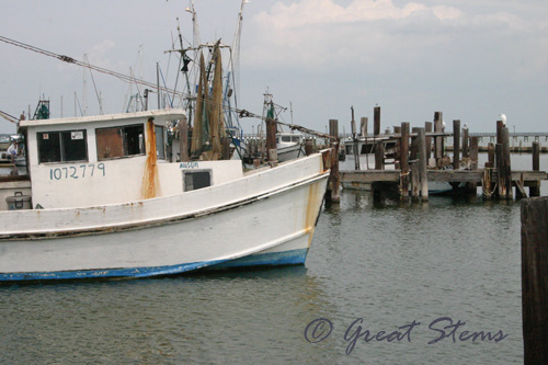 rockportboat09-21-09.jpg