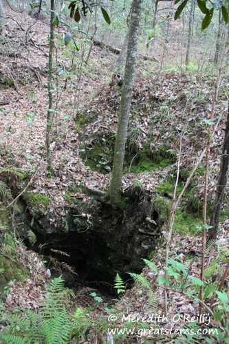 sinkhole03-11-12.jpg