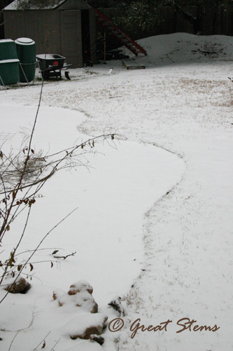 snowf02-04-11.jpg