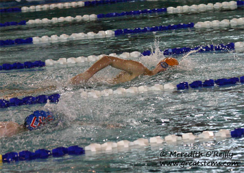 swimmeet11-17-11.jpg