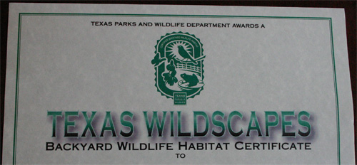 txwildscapes.jpg