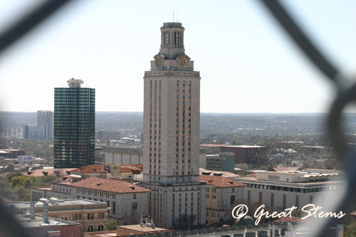 uttower03-07-11.jpg