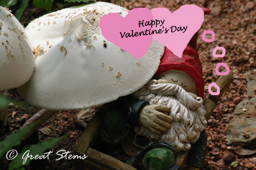 valentinegnome02-14-11.jpg