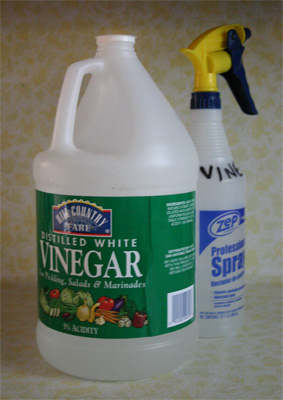 vinegar.jpg