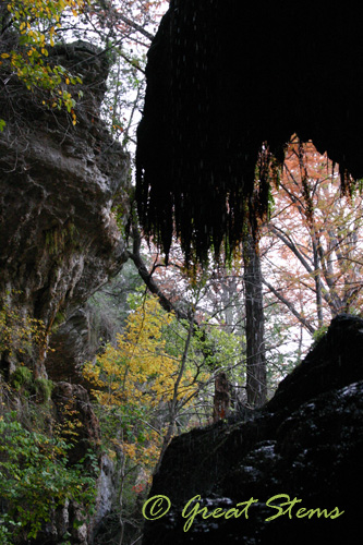 westcavem11-14-09.jpg